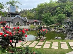 -清湖文化公园