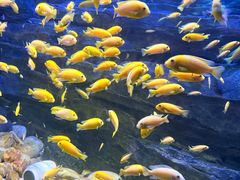 -多彩贵州城极地海洋世界