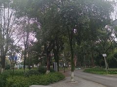 -重庆彩云湖湿地公园