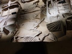 -洛阳周王城天子驾六博物馆