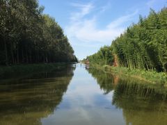 -黄海国家森林公园