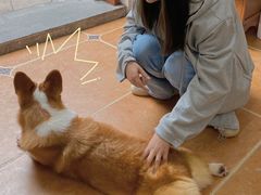 -柯斗斗主题餐厅·狗咖·围炉煮茶·茶饮(国瑞升平里店)