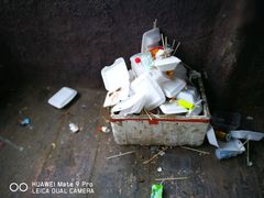 -松山湖梦幻百花洲