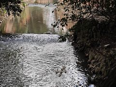 -云水谣景区