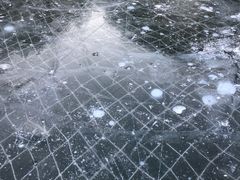 -古北烤梨