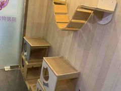 -宠爱国际动物医院·消化内科·心肾内科·ISFM猫友好(望京店)