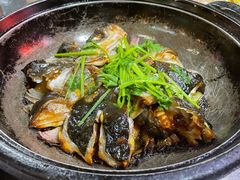 -石岐乳鸽村(南海第三分店)