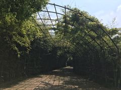 -东海大峡谷