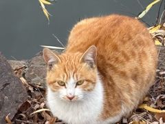 -钰园(水绘园店)