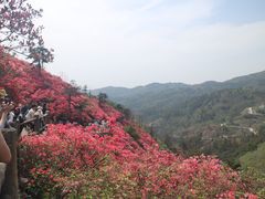 -木兰云雾山