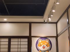 -逗柴咖啡屋·狗咖猫咖宠物桌游