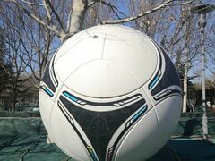 -大兴滨河森林公园