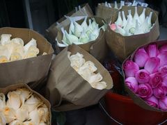 -亭亭鲜花店(中山北路店)