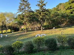 -沈阳森林动物园