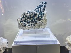-中国地质大学逸夫博物馆