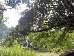 -燕晗山郊野公园