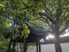 -上海醉白池公园
