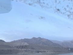 -无极龙凤宫