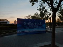 -莲花池公园