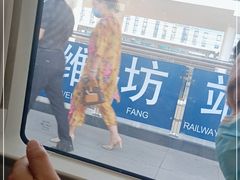 -潍坊站