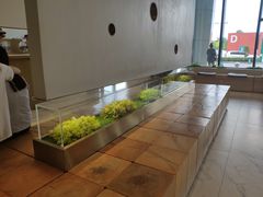 -喜茶(永旺梦乐城店)