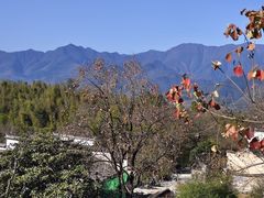 -塔川景区