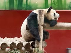 -杭州野生动物世界
