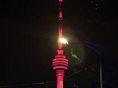 -龟山风景区-龟山电视塔