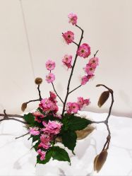 -今日陶艺(富力广场店)