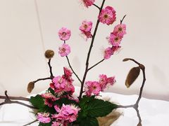 -今日陶艺(富力广场店)