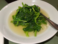 -老吉堂上海本帮菜(望京万象汇店)