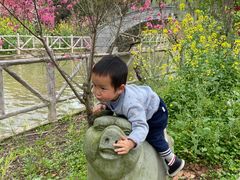 -南汇桃花村