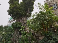 -荔湾博物馆