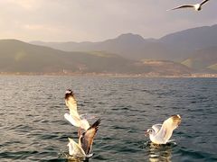 -丽江泸沽湖景区