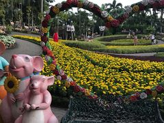 -东芭乐园
