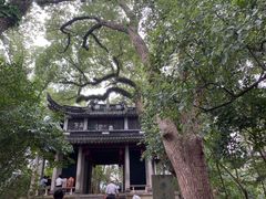 -溪口-滕头旅游景区