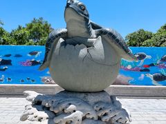 -广东惠东海龟国家级自然保护区