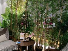 -施奈儿.洗头頭療.按摩SPA.采耳(上梅林店)