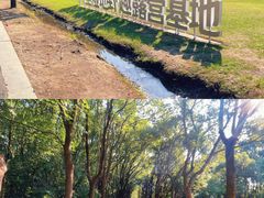 -同里国家湿地公园