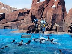 -上海海昌海洋公园