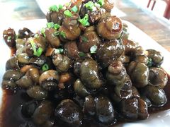 -安吉胖嫂家