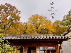 -塔川景区