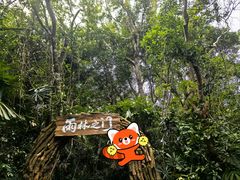 -呀诺达热带雨林
