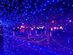 -昆山城市生态森林公园