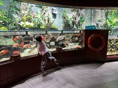 -太平洋海底世界