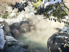 -悦隆庄温泉度假酒店