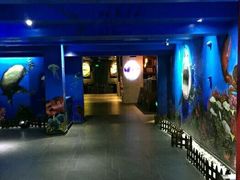 -船奇蒸汽海鲜·闽菜(八市海鲜总店)