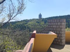 -原山国家森林公园