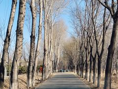 -东郊湿地公园