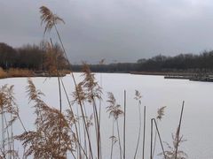 -大兴滨河森林公园